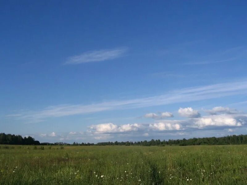 Поля новгородская область. Поля Новгородской области. Кучевка. Рдейского монастыря Новгородского района. П чистое поле Новгородская фото.