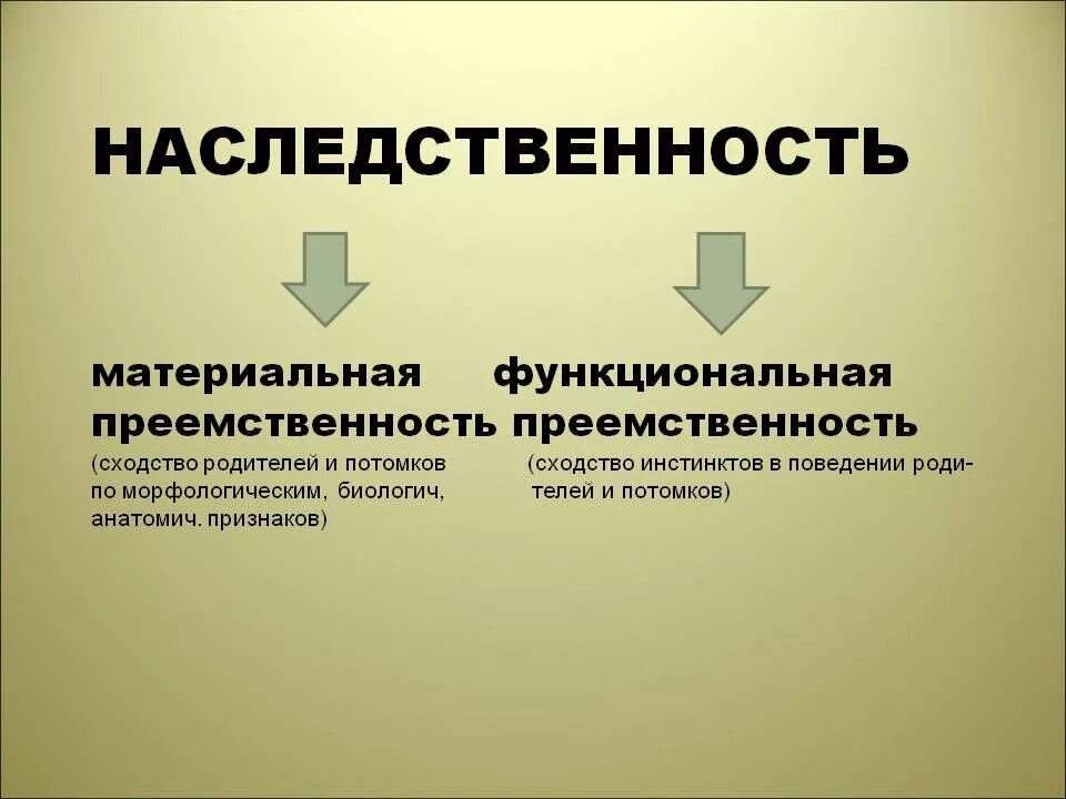 Материальной единицей наследственности является