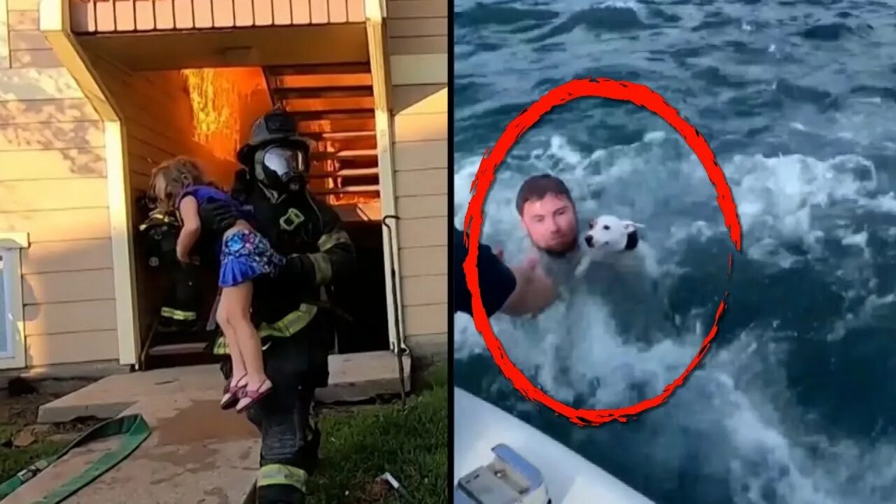 Amazing rescue. The rescue 2025.