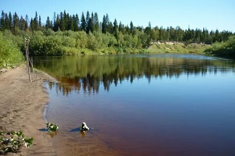 Линево озеро забайкальский край