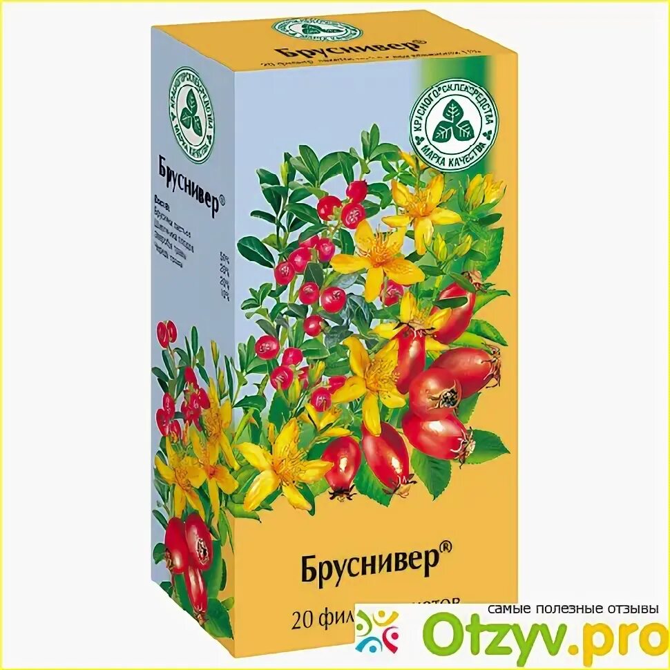 Почечный чай бруснивер. Бруснивер т. Бруснивер чай. Бруснивер форум. Фармацвет чаи бруснивер.