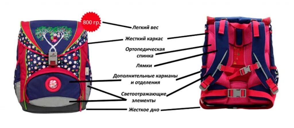 Какой должен быть портфель. Правильный рюкзак для первоклассника. Правильный ранец для первоклассника. Правильный портфель для первоклассника. Правильный ортопедический ранец.