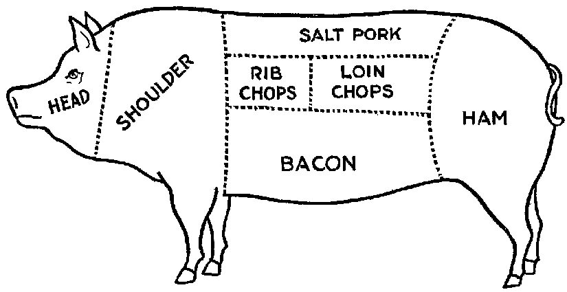 Как получить пин свиньи. Схема свиной туши. Схема разделки свиной туши с названиями. Свинина схема разделки туши с названиями. Тушка свинины схема.