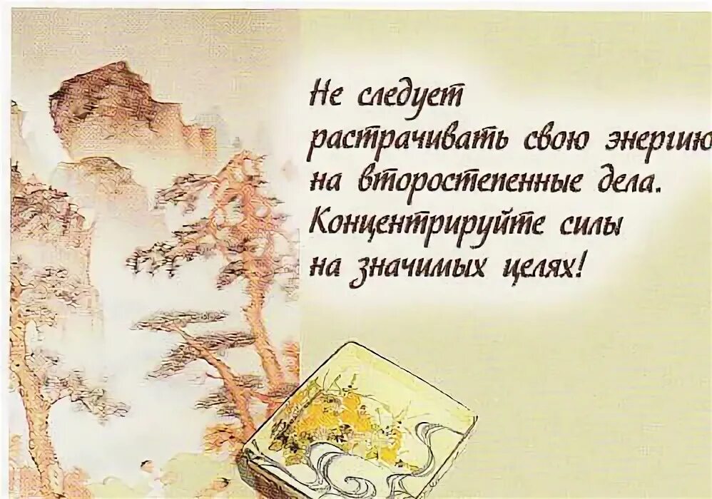 С днем рождения ваша мудрость