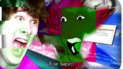 Kinito pet вирус