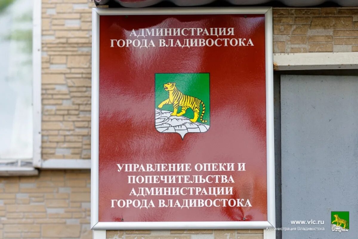 Управление опеки и попечительства. Отдел опеки и попечительства Самара. Владивосток опека. Департамент опеки и попечительства Самарского района. Дзержинский опека и попечительство