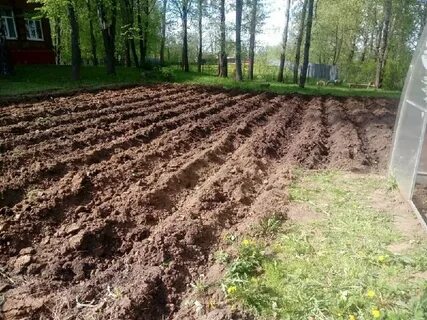 Два опытных участка