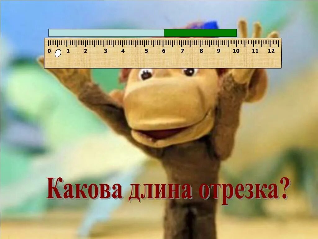 0 см длина. Изображения зверей для измерения длины удава,. длина картинка. измерение длины картинки. длинная картинка.