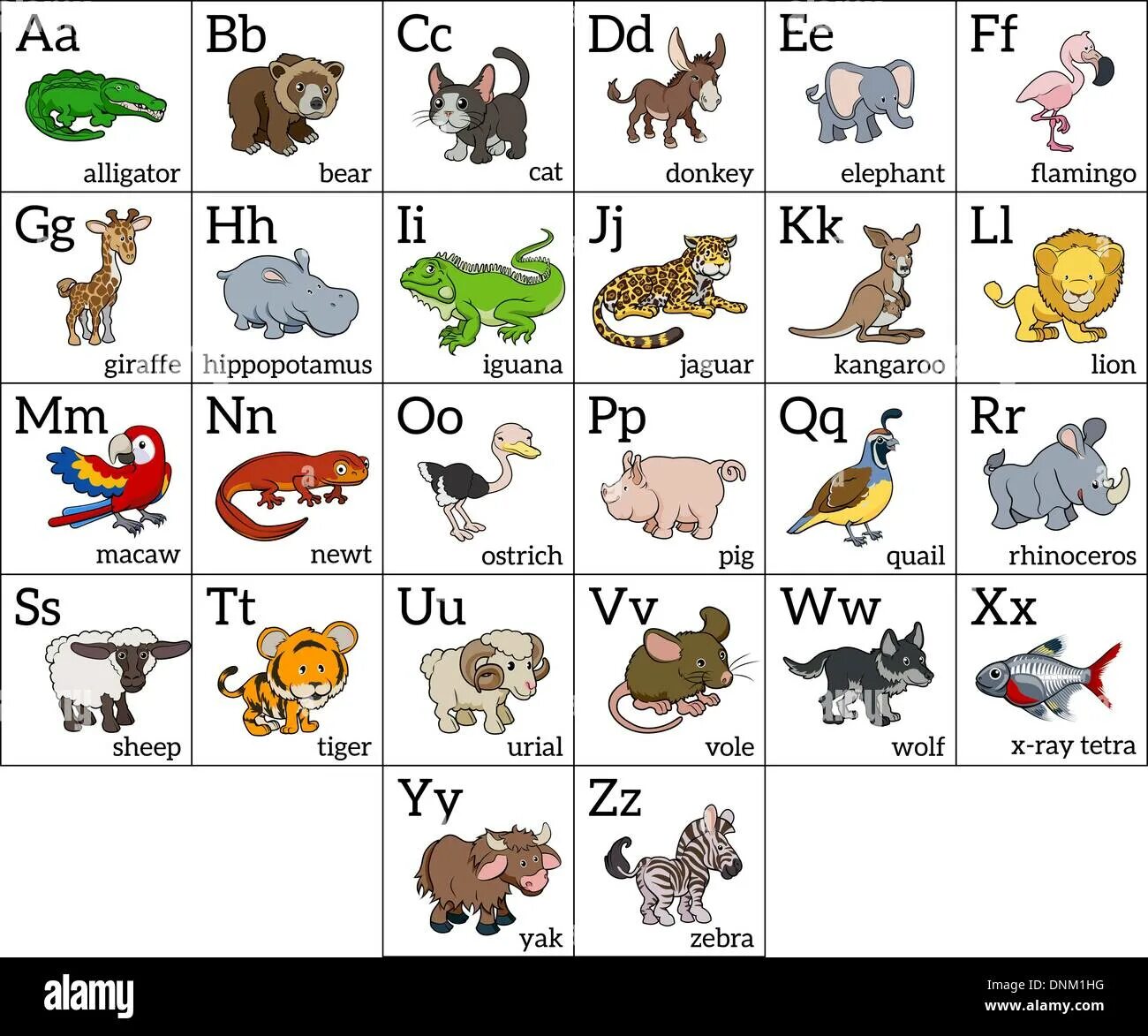 Назови животное на б. Алфавит английский животные. Животные на английском по алфавиту. Азбука животных в картинках. Названия животных по алфавиту.