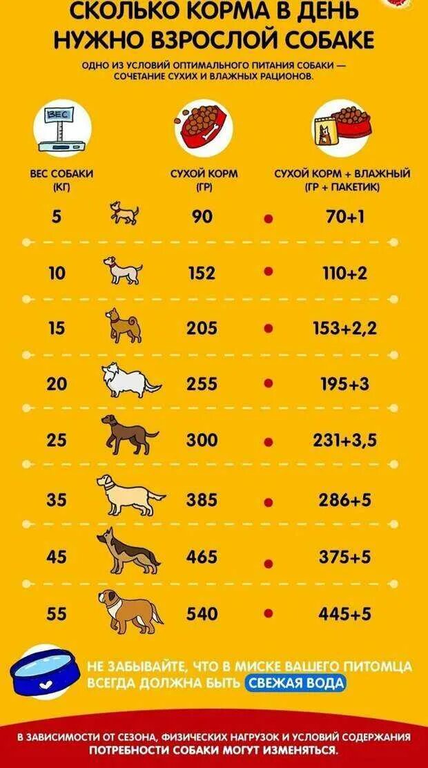 Сколько корма надо собаке