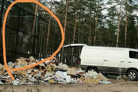 Аномальные новости