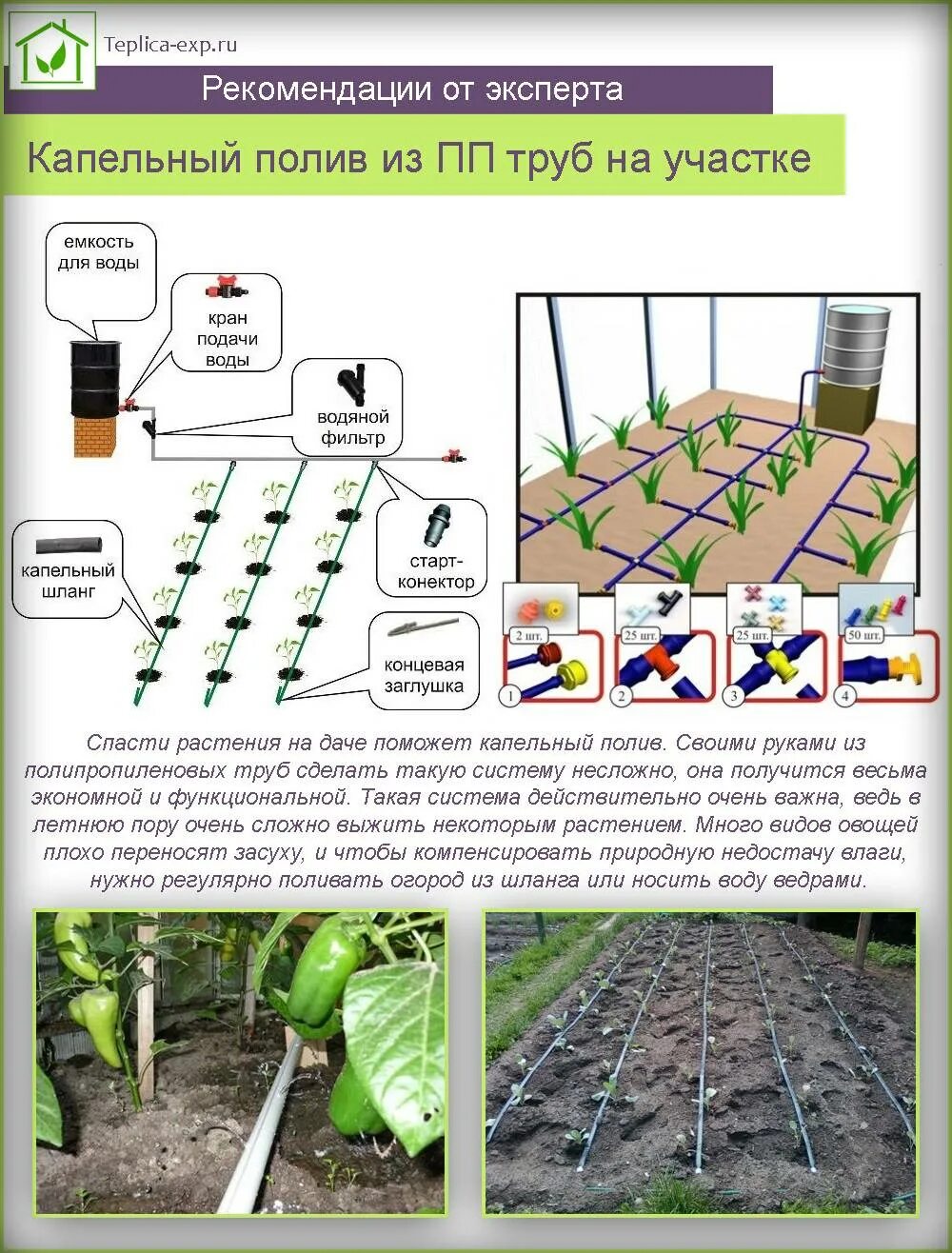 Капельный полив для теплицы купить на озон. Капельный полив из ППР труб. Капельный автополив для теплицы схема. Схема подключения системы капельного полива. Капельный полив пропиленовые трубы в теплице.