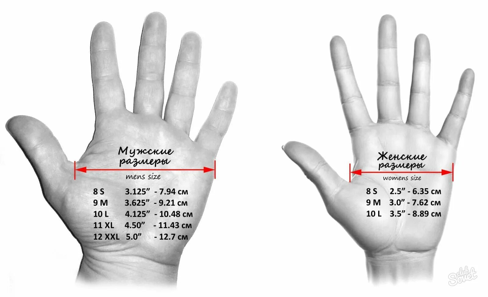 Сколько сантиметров рука. Как измеряется обхват ладони для перчаток. Как правильно измерить обхват ладони для размера перчатки. Как узнать размер кисти для перчаток. Как измерить размер ладони для перчаток мужчин.