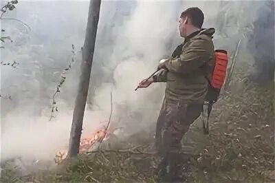 Сотрудники лесничества и пожарные