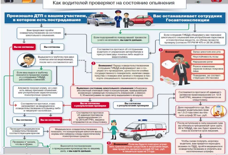 Схема действий при ДТП. Порядок освидетельствования на состояние алкогольного опьянения. Медицинское освидетельствование на состояние опьянения. Памятка водителю при ДТП. Слова после аварии