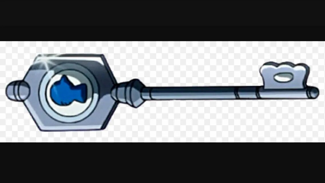 Key to the gate