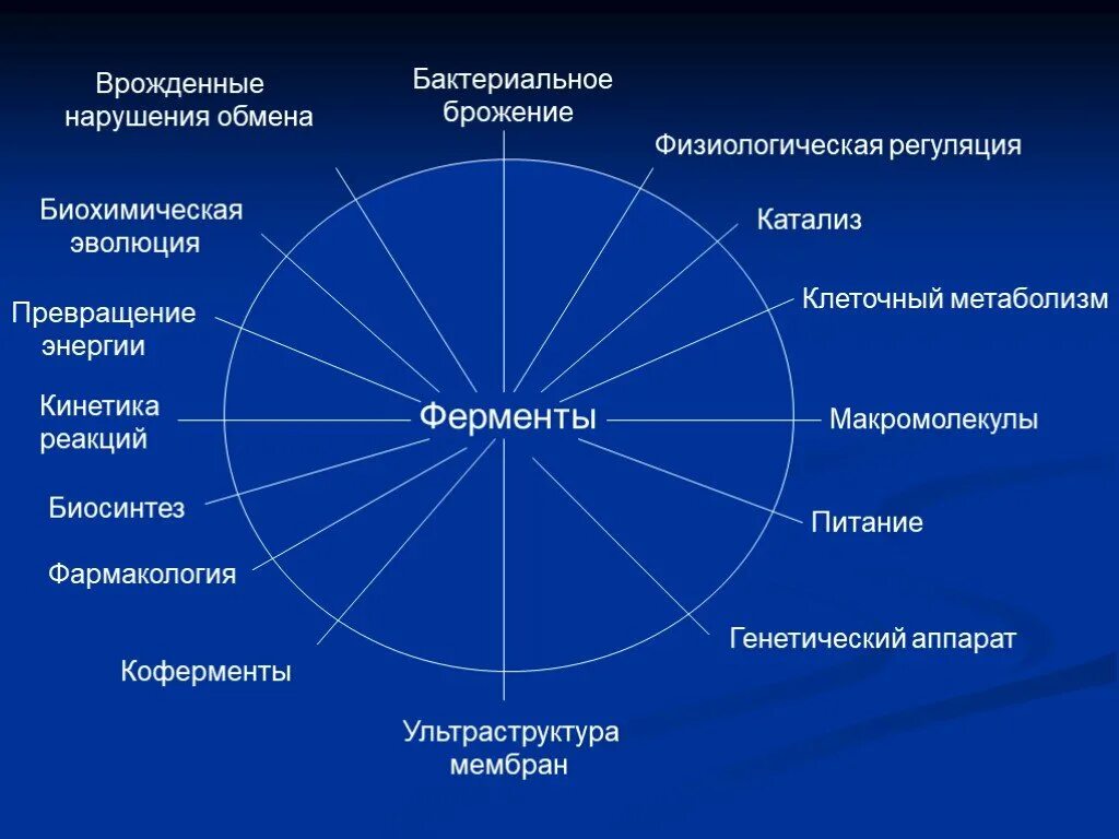 Биосинтез роль ферментов. Роль ферментов в организме. Функции ферментов в организме человека. Роль ферментов в жизнедеятельности организма. Функции ферментов в организме.