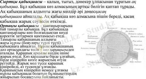 Порно Маша Васницова