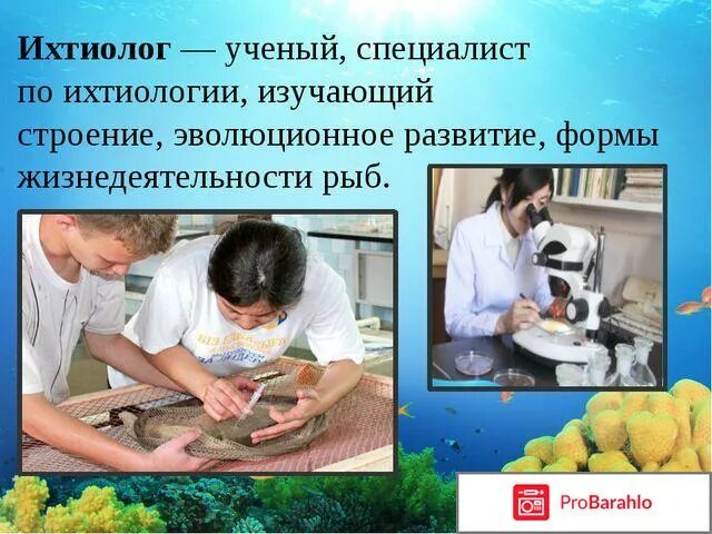 Речные и озерные рыбы. Профессии в рыбном хозяйстве. Речные рыбы названия. Рыба доктор морская. Ихтиолог профессия.