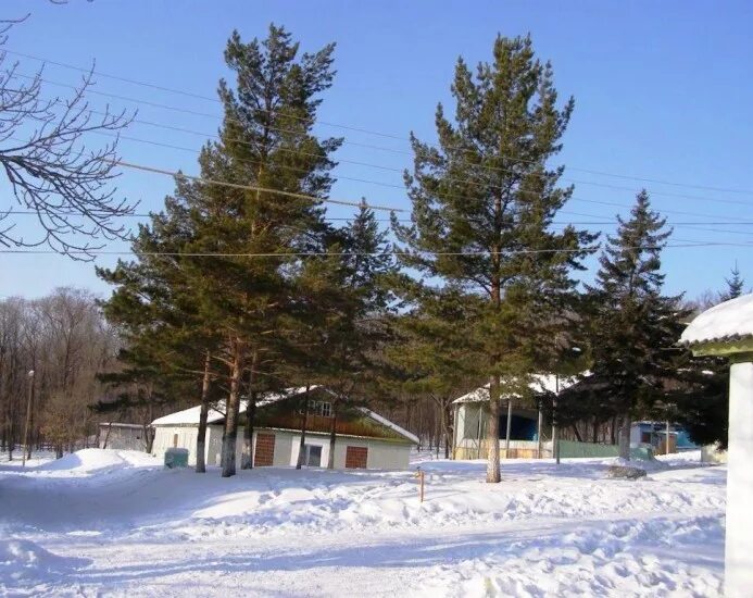 лагерь салют арсеньев 2018. мау спортивная база салют, арсеньев. лагерь салют арсеньев 2019. лагерь салют в арсеньеве. турбаза салют арсеньев.