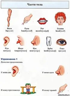 Рот по английски как читается