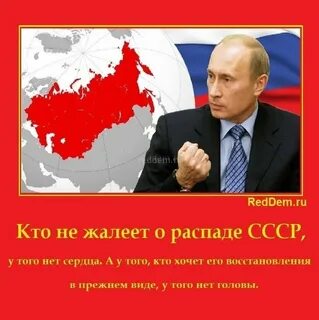 В каком году был восстановлен