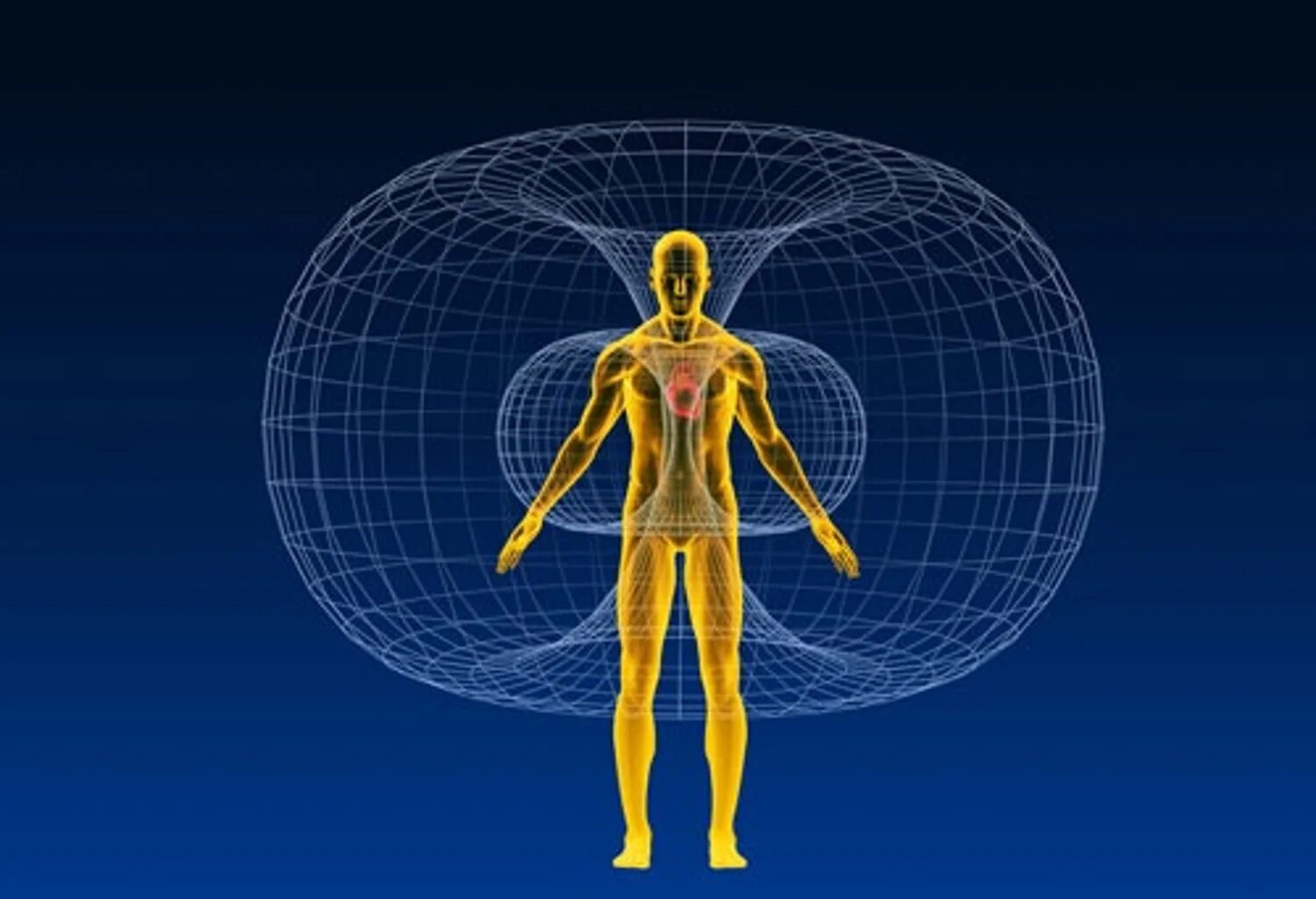 Картинка поля человека. Магнитное поле человека. Электромагнитное поле человека. Магнитное поле организма человека. Магнитное птлечеловека.