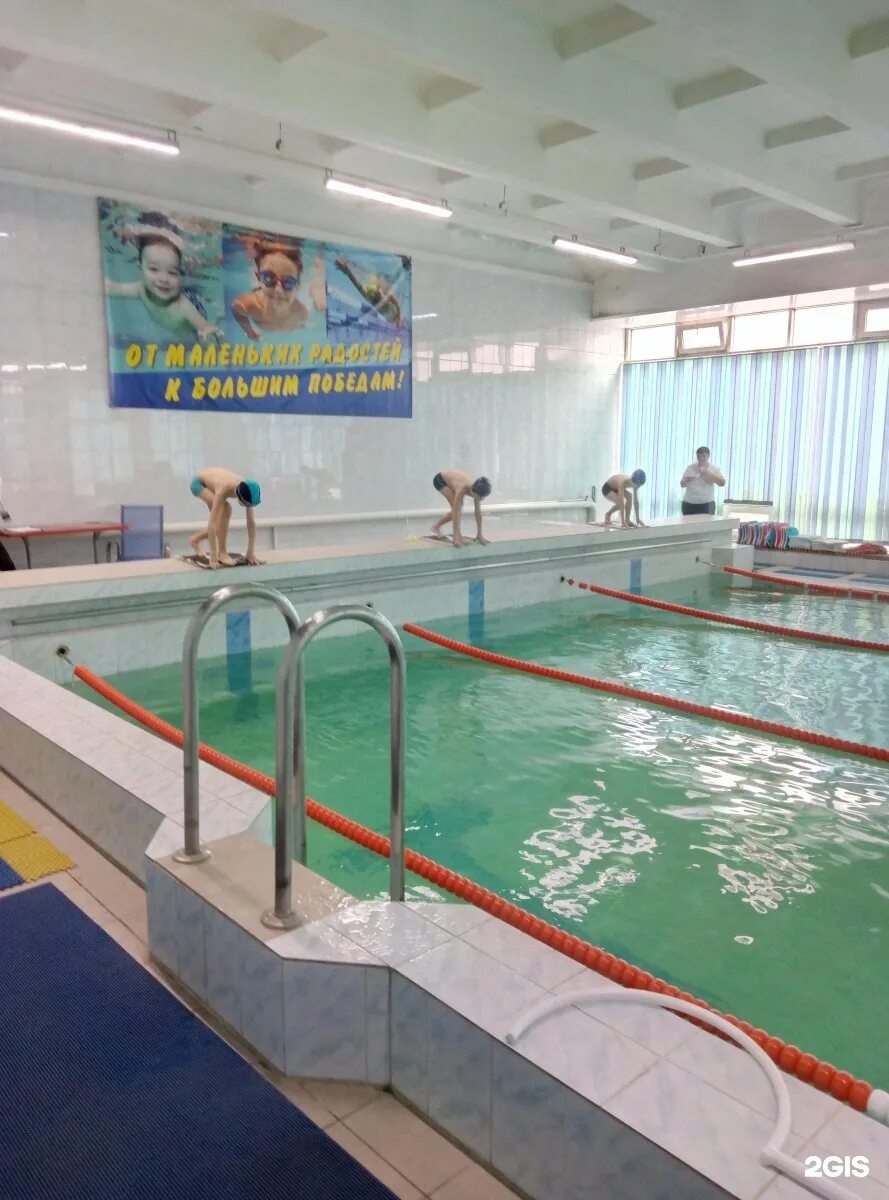 Школа 20 миасс бассейн. Бассейн дельфин миасс. Школа 20 миасс бассейн. 46 школа тверь бассейн. Город миасс бассейн фок.