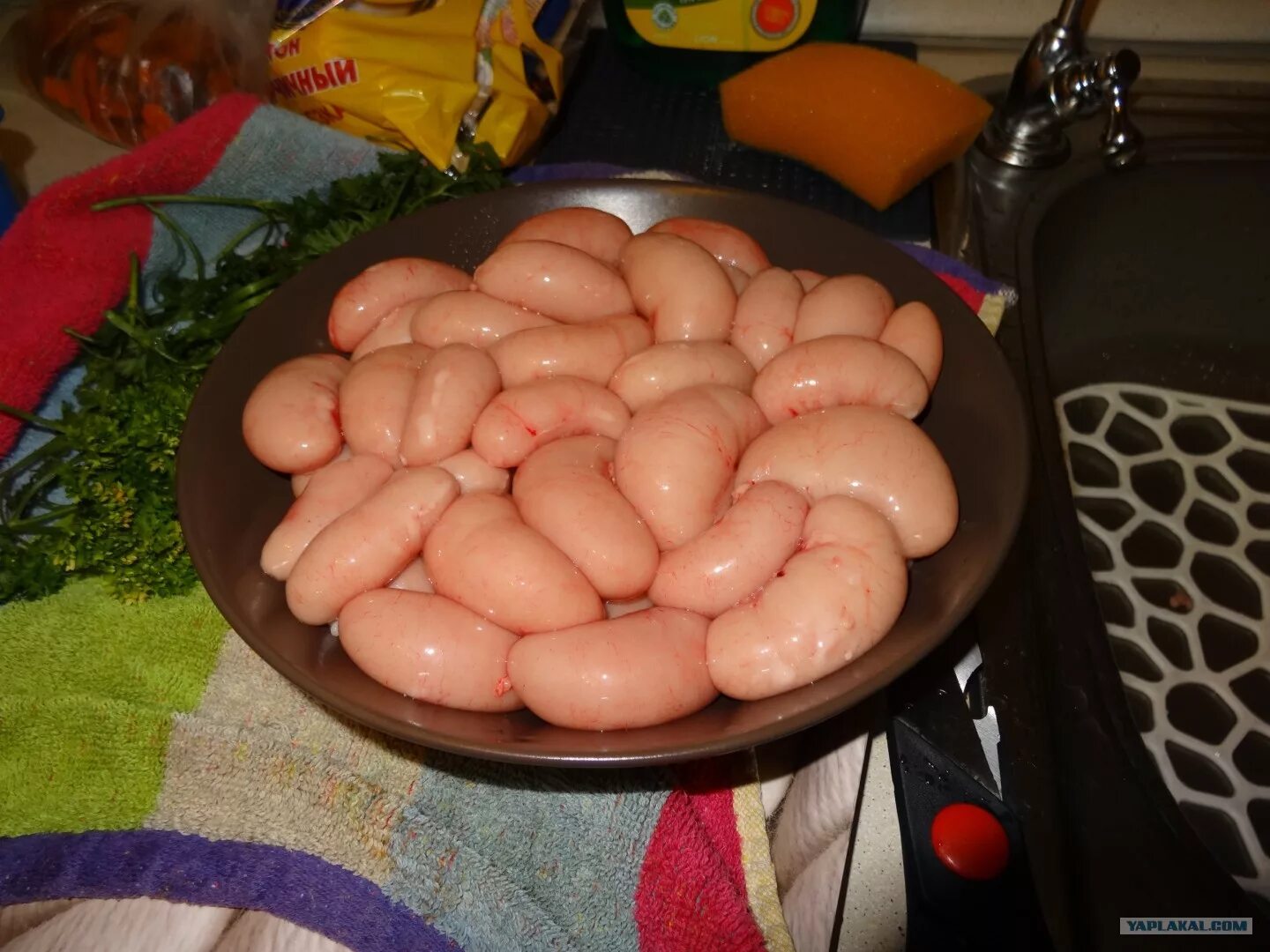 Фото яиц мужика
