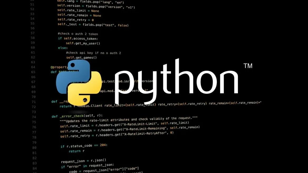 Python очно