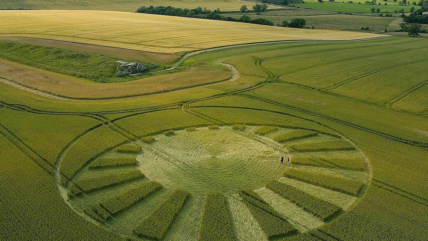 Круги на полях в Краснодарском крае 2021. Уилтшир,,круги на полях. Круги на кукурузных полях. В поле. Поле бесполезных