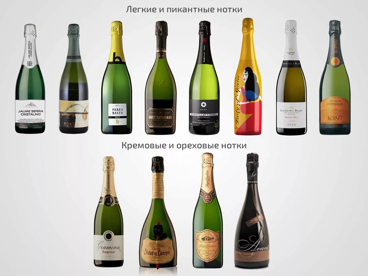 Тип кава. Кава просекко шампанское. кава (игристое вино). испанские игристые вина. итальянское игристое вино.