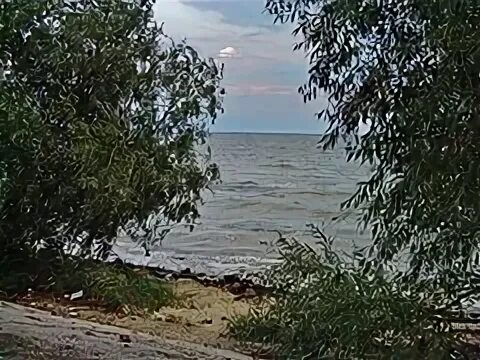 Погода в петрушино московская область орехово