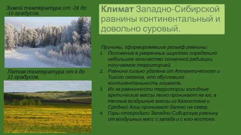 Природные особенности западной сибири. Типы климата Западно-сибирской равнины. Климат Западной Сибири равнины. Западно Сибирская равнина климат температура. Континентальный климат Западной Сибири.