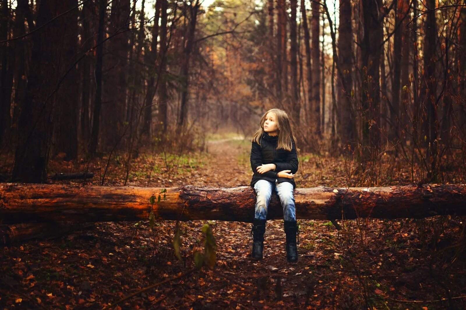 Ищу девушка в лесу. Фотосессия в лесу. девушка в осеннем лесу. девочка в лесу. осенняя фотосессия.