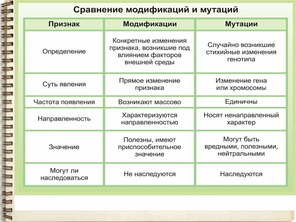 Появление мутаций при половом размножении. Форма изменчивости биология таблица. Форма изменчивости биология ЕГЭ таблица. Форма изменчивости таблица ЕГЭ. Изменчивость классификация форм изменчивости.