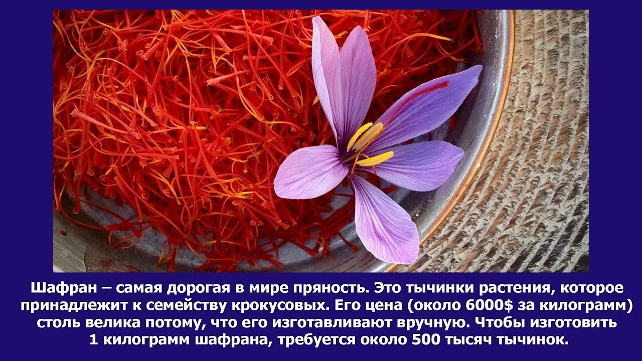 Шафран последнее. Самая дорогая специя в мире шафран из чего. почему шафран такой дорогой. отличительная особенность шафрана прекрасного. самое дорогое факты.