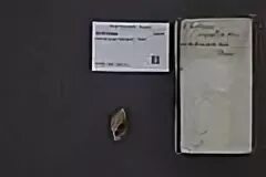 Планшет ovalis grey android 12 512g. Планшет ovalis grey android 12 512g