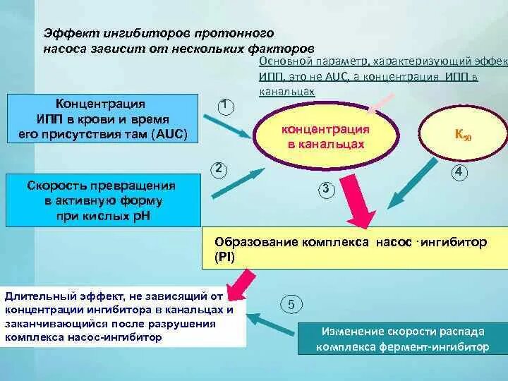 Ингибиторы протонного насоса. Ингибиторы протонного насоса классификация. Блокаторы протонного насоса механизм. Ингибиторы протонного насоса фармакологический эффект. Лучшие ингибиторы протонной