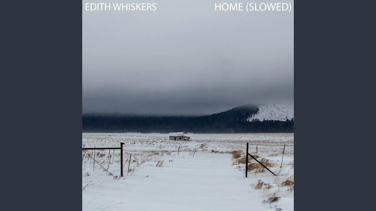 Home Edith Whiskers. Песня Home Edith Whiskers. Edit Whiskers. Home Edith Whiskers обложка.