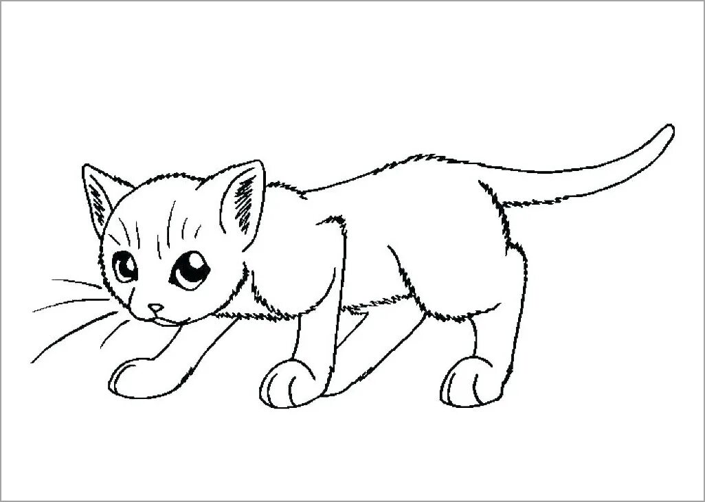 Кошка без цвета. Кошки. раскраска. раскраска кот. кошка рисунок раскраска. котенок. раскраска.