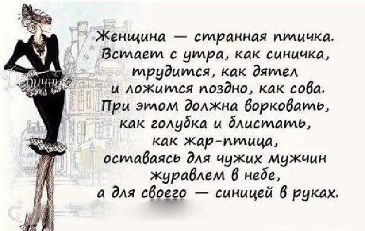 Короткий анекдот про женщину. Анекдот про женщину которая ругается. Анекдоты приколы. Анекдоты про женщин. Афоризмы про женщин с юмором.