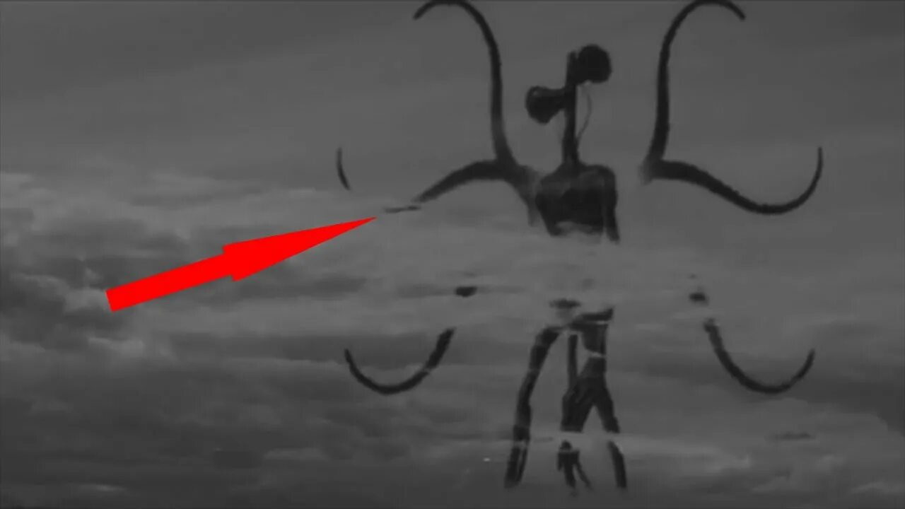 Сиреноголовыи в риаоьнои жизни. Серена головый в реальной жизни. Серена головый в реальной жизни. Серена головый в реальной жизни. Сереноголововый серена.