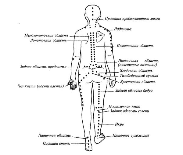 Точки на пояснице. Точечный массаж спины схема точек. Точки на теле человека для массажа. Массаж спины активные точки. Точечный массаж спины схема.