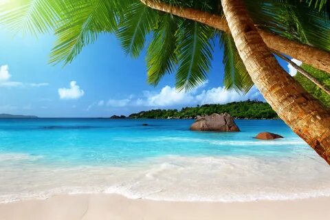 Download Scenic Tropical Island Vacation | Wallpapers.com 