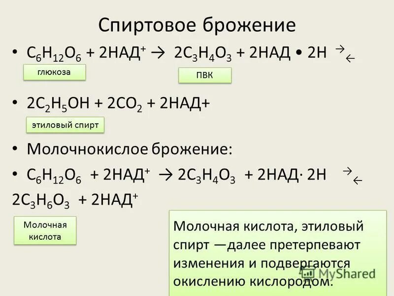 Конечные продукты спиртового брожения. Спиртовое брожение последовательность реакций. Химическая формула реакции брожения. Общее уравнение реакции спиртового брожения. Углекислый газ выделяется при брожении глюкозы