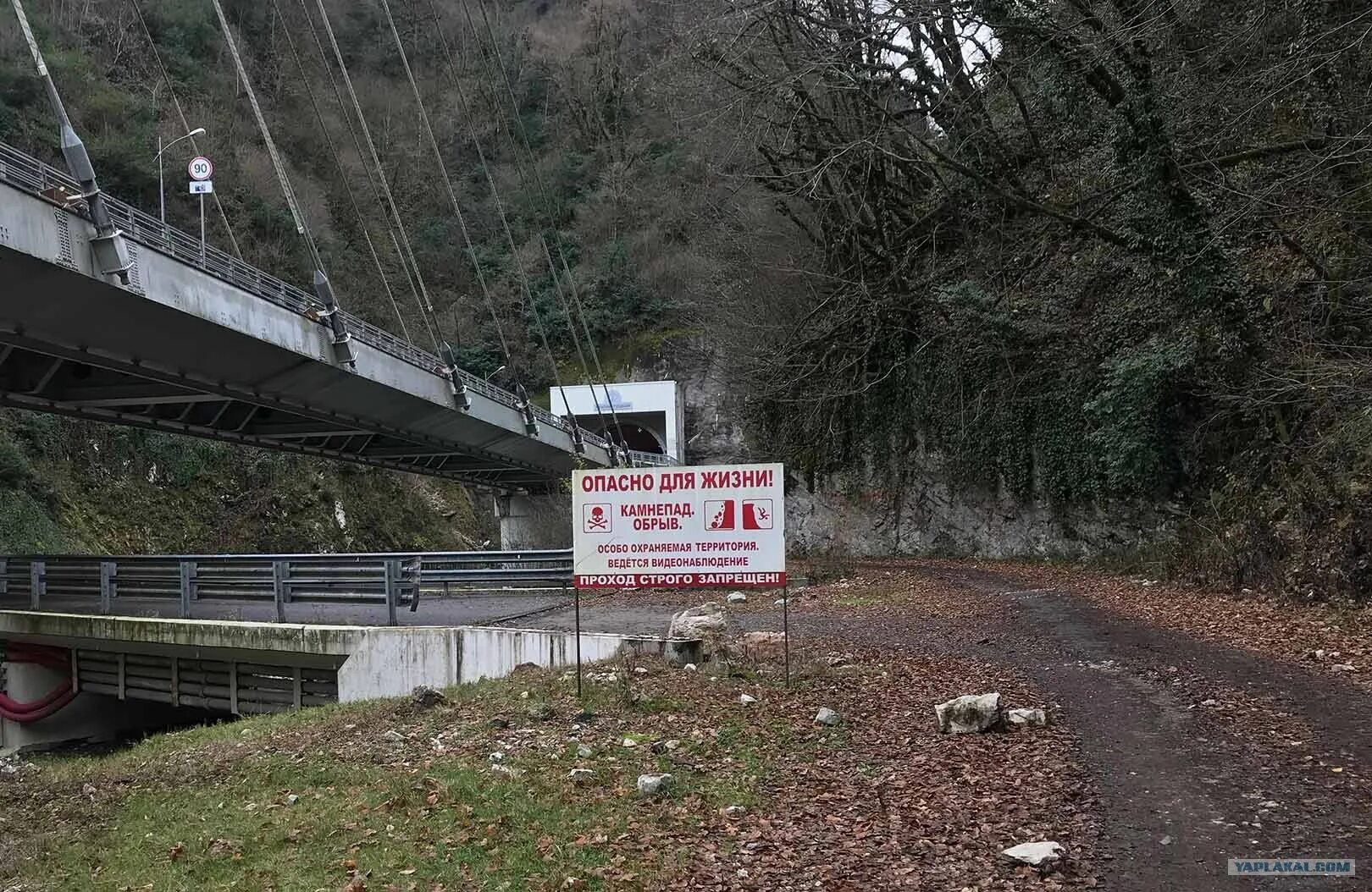 Старая дорога на поляну. Заброшенная дорога Адлер красная Поляна. Дорога Ахцу Старая на красную поляну. Пронеси Господи дорога на красную поляну. Старая дорога Адлер на красную поляну Сочи.