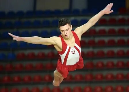 Финал спортивной гимнастики