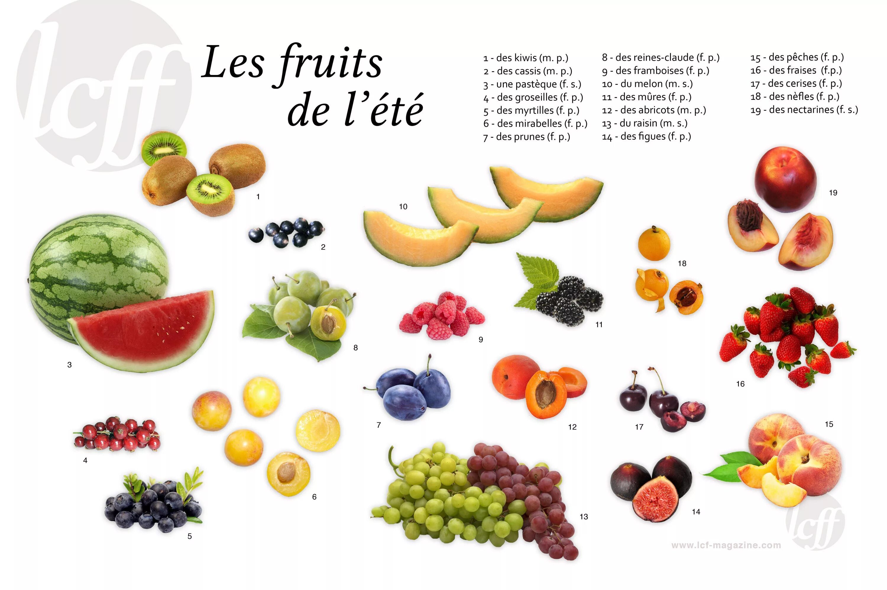 Фрукты на французском. Фрукты на французском языке для детей. Фрукты и овощи на французском языке. Карточки фрукты на французском языке.
