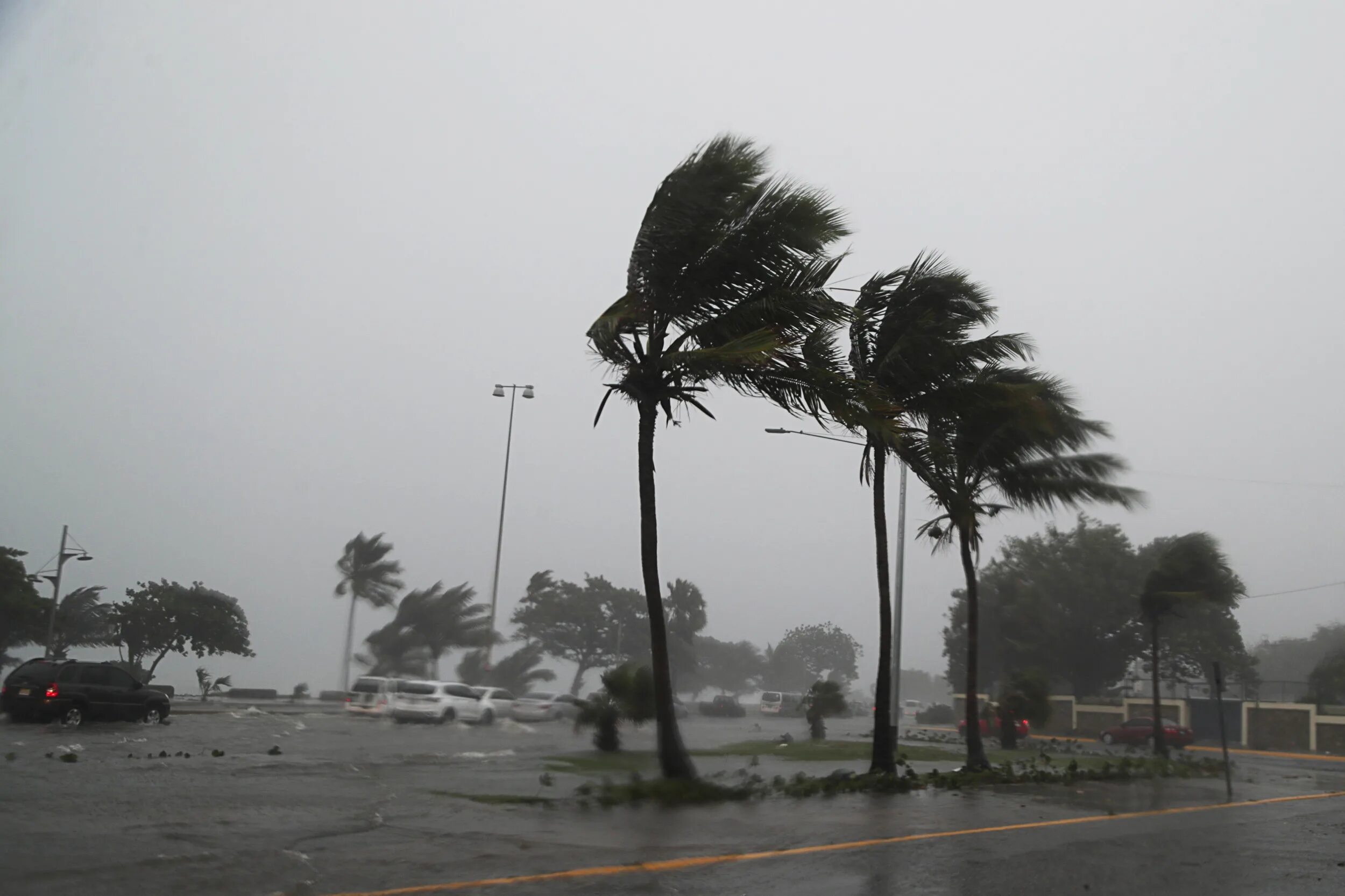 Поднялась сильная буря. Тропический шторм Алекс. Тропический ураган. Флорида Тайфун. Шторм во Флориде.